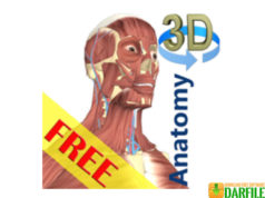 3d anatomy