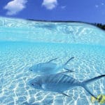 Air Laut Biru Karena Warna Langit