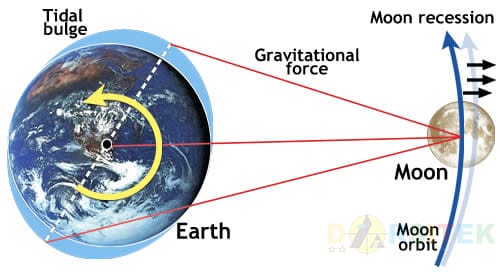 Gravitasi Bulan dan Pasang Surut Air Laut