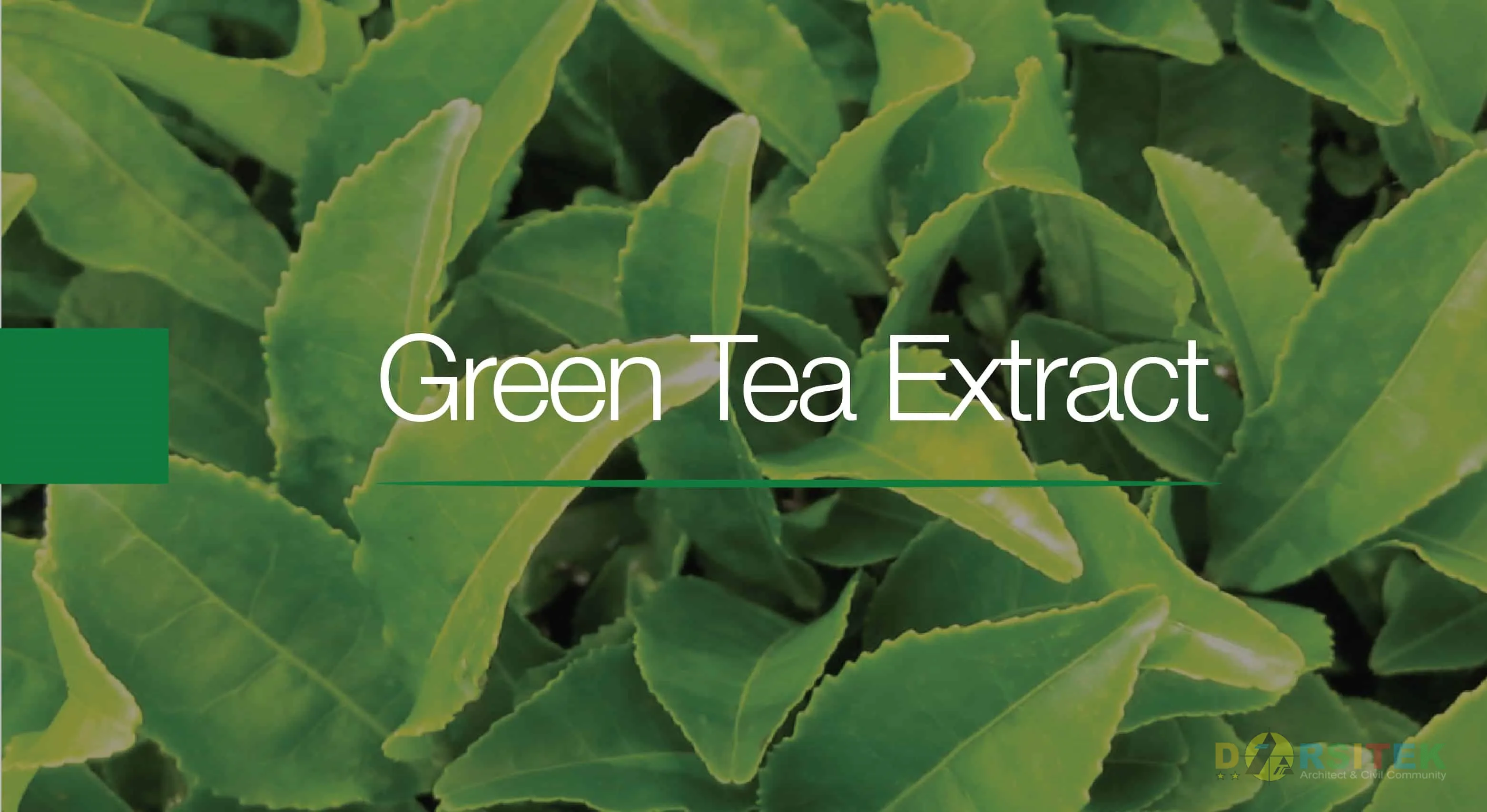 The Surprising Advantages From Drinking Green Tea Extract Daily For Just One Month