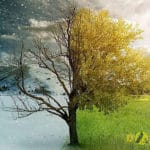 Lamanya Tiap Musim Adalah Sama