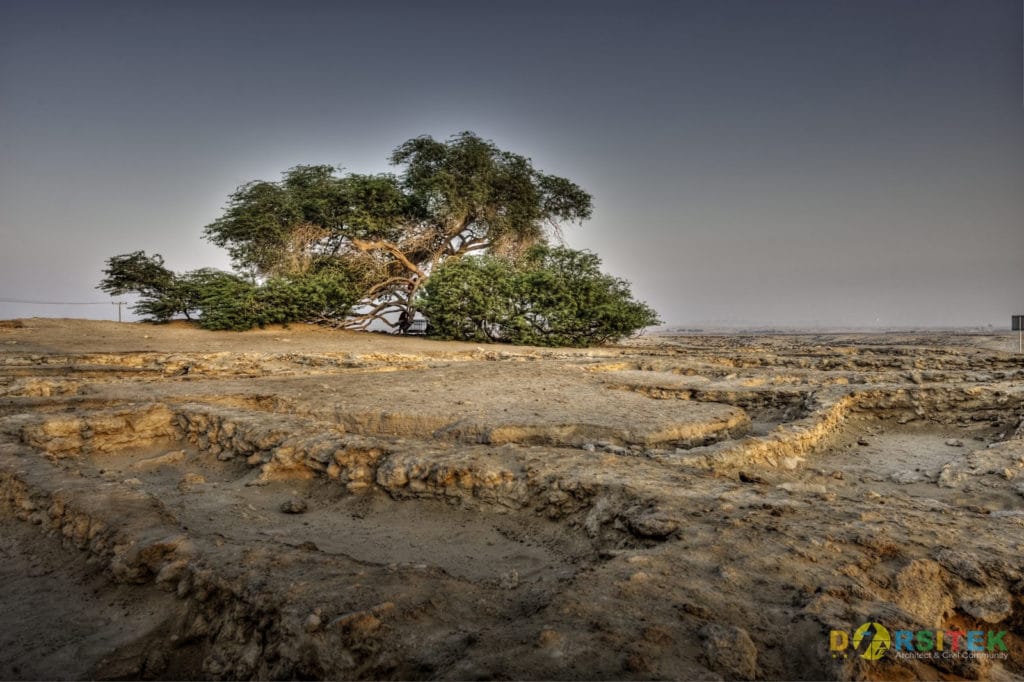 Pohon Kehidupan (Bahrain)