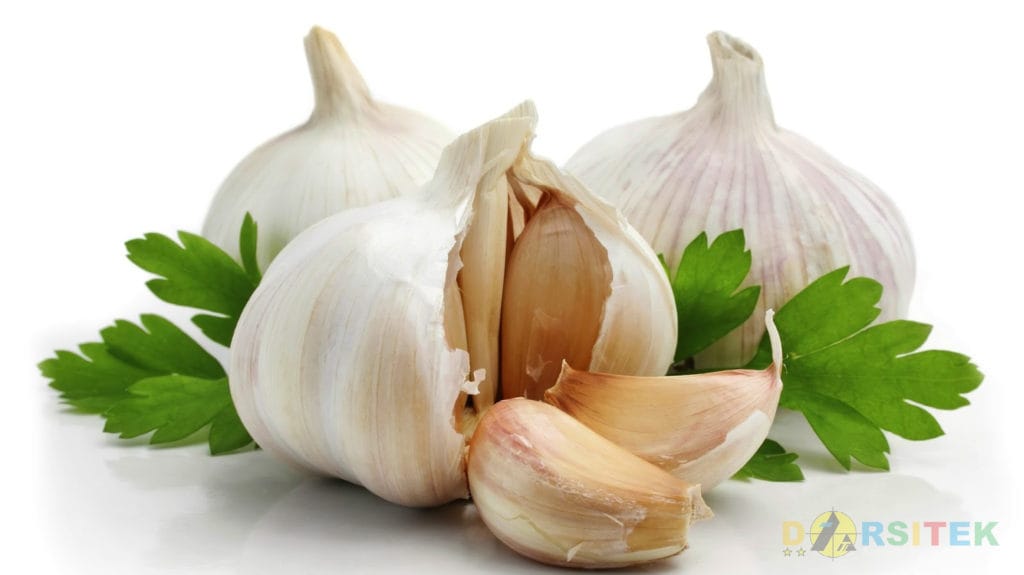 bawang putih menghilangkan jerawat