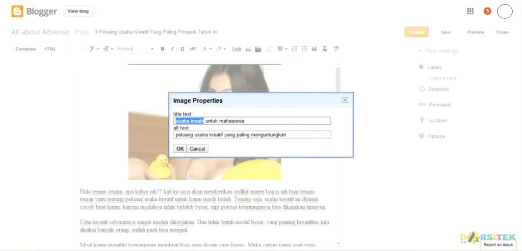 tampilan image properties