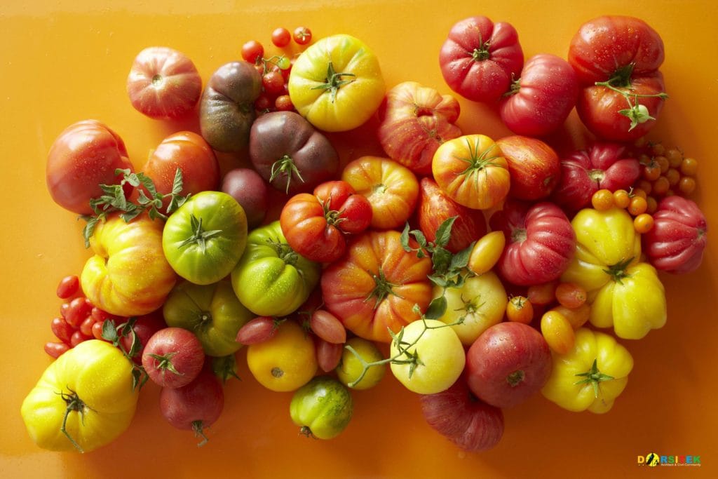 Tomatoes
