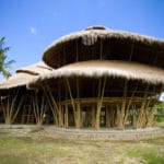 Mengenal Lebih Dekat Struktur Bambu