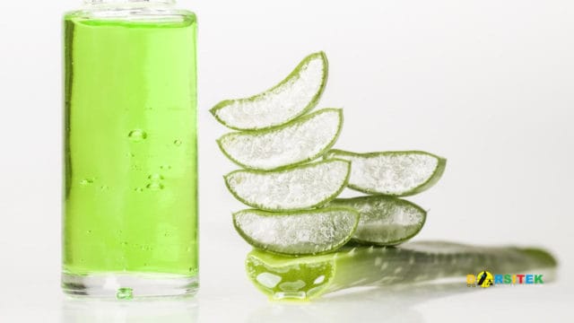 aloe vera