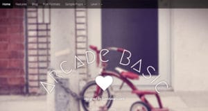 arcade basic wordpress