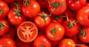 benefit eating tomatoes