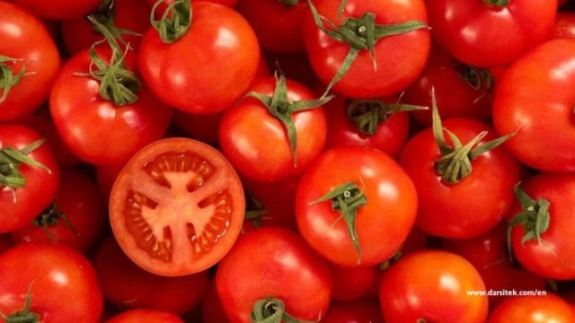 benefit eating tomatoes benefit eating tomatoes