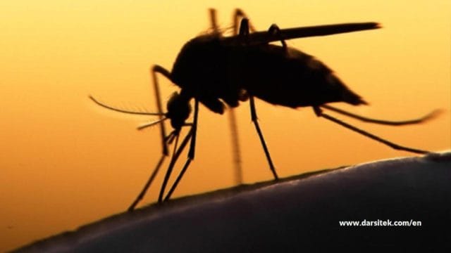 diseases from flood diseases from flood