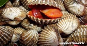 foods that cause high cholesterol