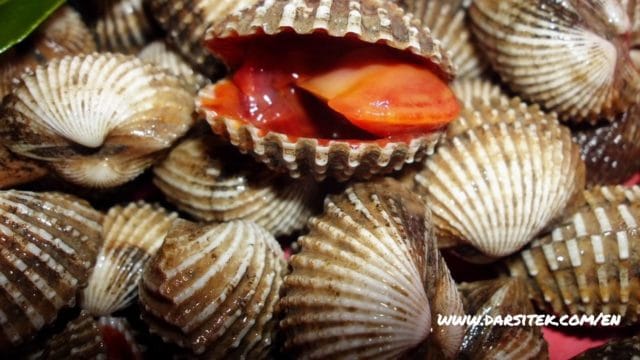 foods that cause high cholesterol foods that cause high cholesterol