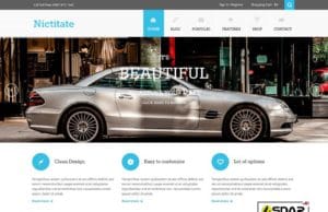 nictitate wordpress