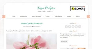 sugar and spice wordpress