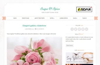 sugar and spice wordpress