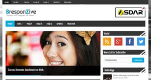 bresponzive wordpress