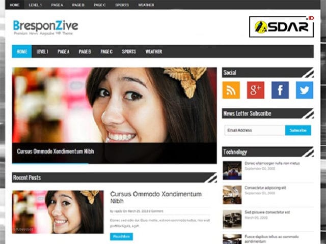 bresponzive wordpress