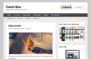 catch box wordpress
