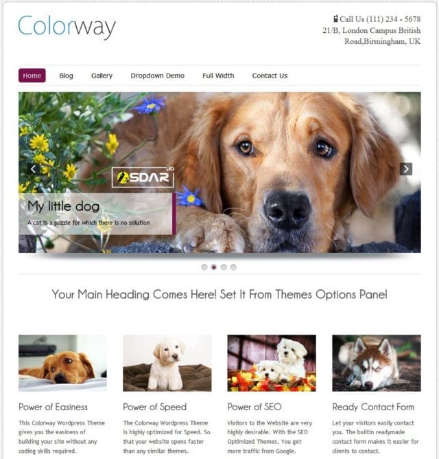 colorway wordpress colorway wordpress