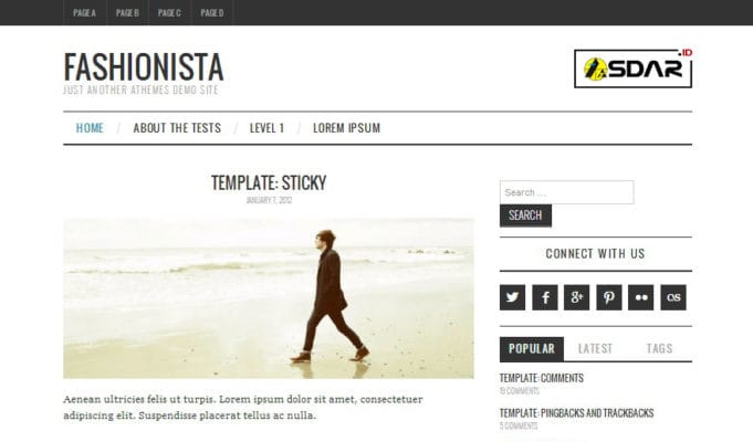 fashionistas wordpress