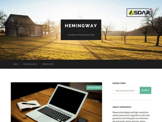 hemingway wordpress