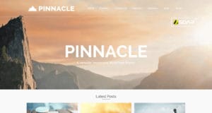 pinnacle wordpress