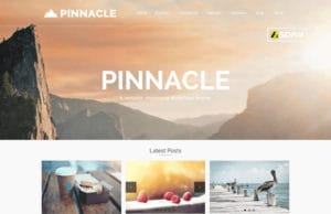 pinnacle wordpress