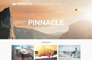 pinnacle wordpress