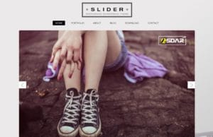 slider wordpress