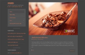 storto wordpress