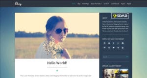 story wordpress