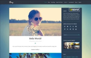 Tema WordPress Story Responsive Gratis story wordpress