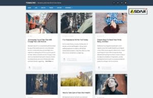 tdmacro wordpress