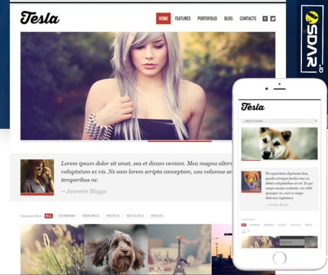 tesla wordpress