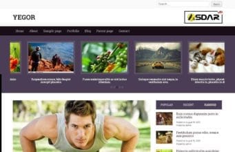 yegor wordpress