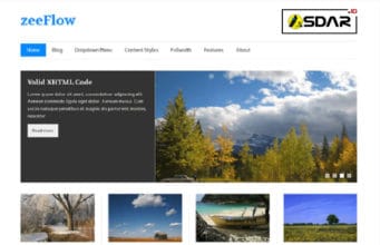 zeeflow wordpress