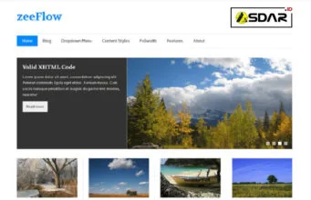 zeeflow wordpress