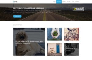 zifer child wordpress