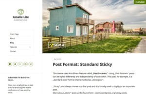 amalie lite wordpress