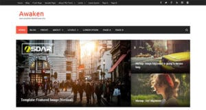 awaken wordpress