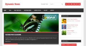 dynamic news lite wordpress