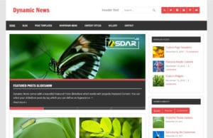 dynamic news lite wordpress