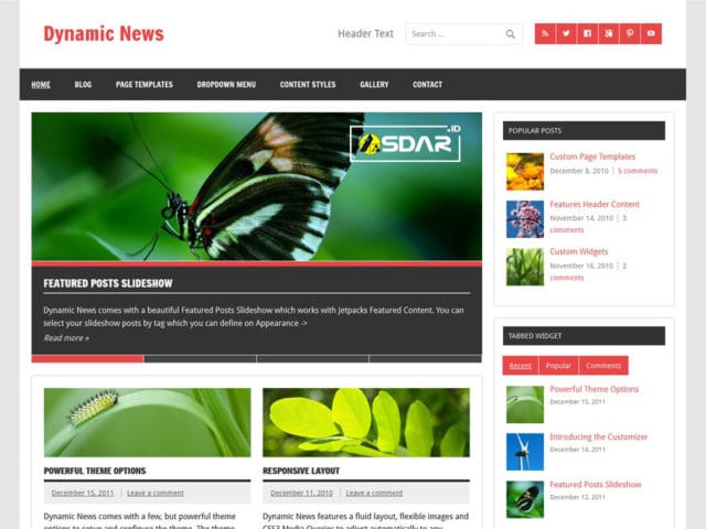 dynamic news lite wordpress dynamic news lite wordpress