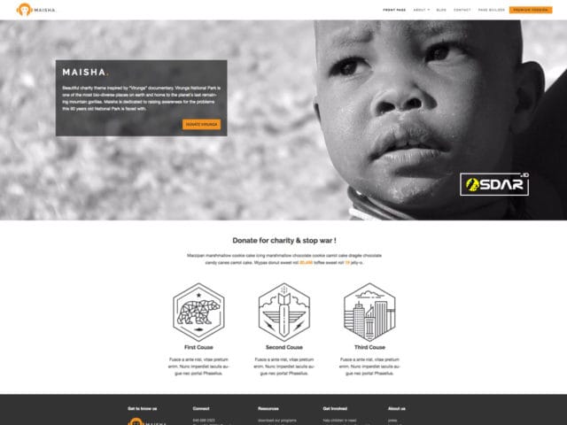 maisha lite wordpress