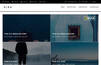 riba lite wordpress