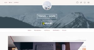 toivo lite wordpress