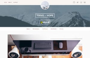 toivo lite wordpress