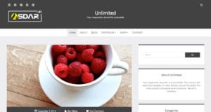 unlimited wordpress