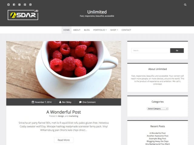 unlimited wordpress